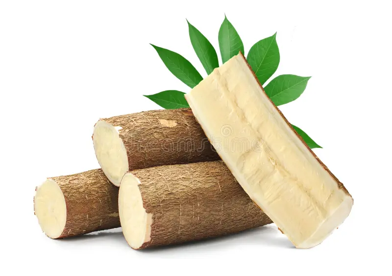 Yuca
